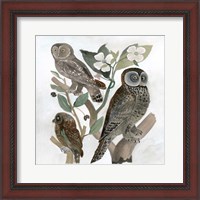Framed 'Traditional Owls II' border=
