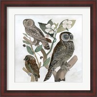 Framed Traditional Owls II