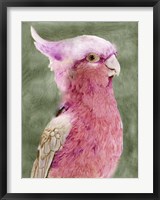 Framed Palm Springs Parrot I