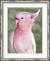 Framed Palm Springs Parrot II
