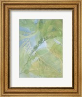 Framed Sea Grass II