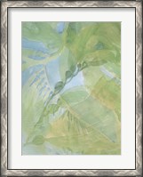 Framed Sea Grass II