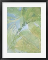 Sea Grass II Framed Print
