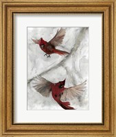 Framed Cardinals I