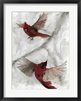 Framed Cardinals I