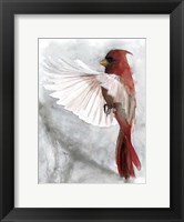Framed Cardinals II