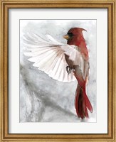 Framed Cardinals II