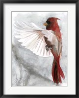 Framed Cardinals II