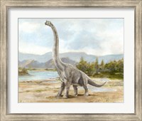 Framed Dinosaur Illustration IV