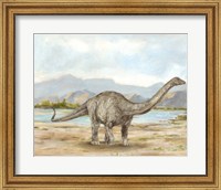 Framed Dinosaur Illustration V