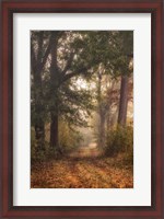 Framed Autumn's Walk I