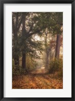 Framed Autumn's Walk I