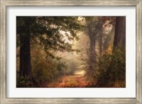 Framed Autumn's Walk II