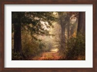 Framed Autumn's Walk II