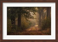 Framed Autumn's Walk III