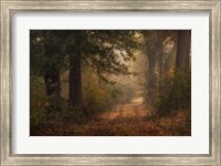 Framed Autumn's Walk III