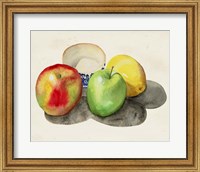 Framed Still Life with Apples & Lemon II