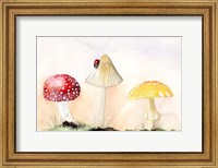 Framed Faerie Mushrooms I