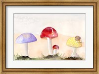 Framed Faerie Mushrooms II
