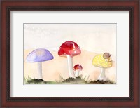 Framed Faerie Mushrooms II