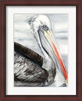 Framed Grey Pelican I