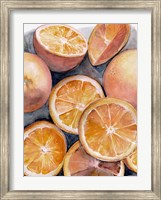 Framed Fruit Slices III