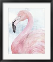 Framed Pink Flamingo Portrait II