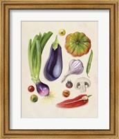 Framed Vegetable Garden I