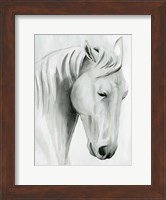 Framed Horse Whisper II
