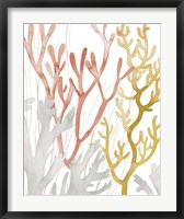 Framed Desert Coral I
