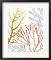 Framed Desert Coral II