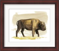 Framed Bison Watercolor Sketch I