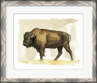 Framed Bison Watercolor Sketch II