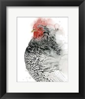 Framed Plymouth Rooster I