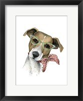 Vogue Dog I Framed Print