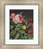 Framed Redoute's Bouquet I