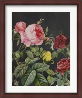 Framed Redoute's Bouquet I