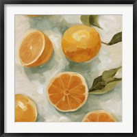 Framed Fresh Citrus I