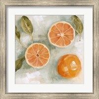 Framed Fresh Citrus II