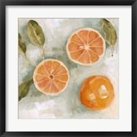 Framed Fresh Citrus II