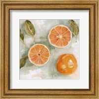 Framed Fresh Citrus III