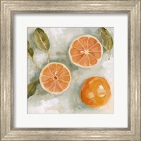 Framed Fresh Citrus III