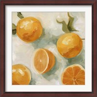 Framed Fresh Citrus IV