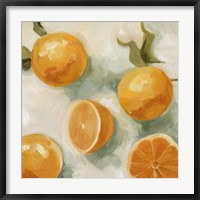 Framed Fresh Citrus IV