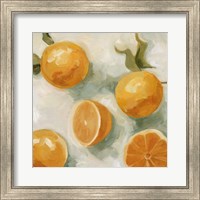 Framed Fresh Citrus IV