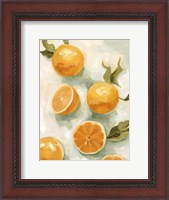 Framed Fresh Citrus V