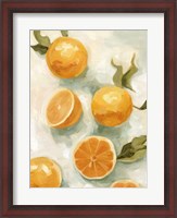 Framed Fresh Citrus V