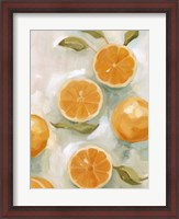 Framed Fresh Citrus VI