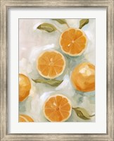 Framed Fresh Citrus VI