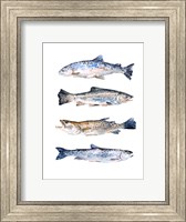 Framed Stacked Trout II